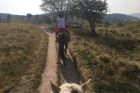 Randonnée à cheval ©SHT