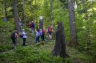 ©Club Vosgien section de Cernay