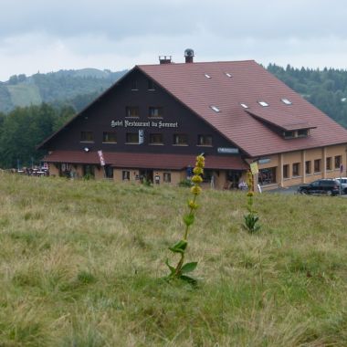 ©Hôtel du Sommet