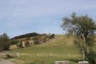 Sentier de découverte au Ballon d'Alsace