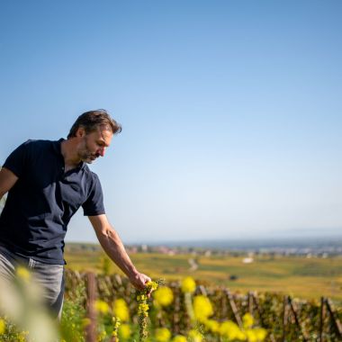 © Domaine Zinck