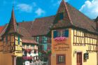 Vins Freudenreich