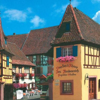 Vins Freudenreich
