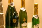 Vins Freudenreich
