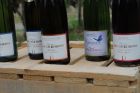 Domaine Haeffelin