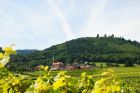 Domaine Kuentz Bas_ Jérémie Bas