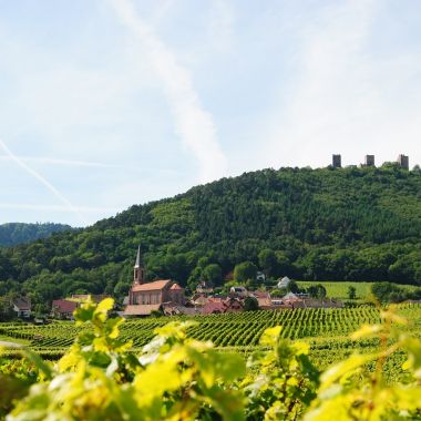Domaine Kuentz Bas_ Jérémie Bas