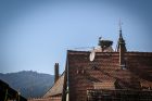 Coursive privative