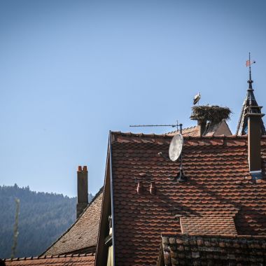 Coursive privative