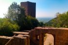 ©Tourisme Eguisheim Rouffach