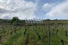 ©Tourisme Eguisheim-Rouffach