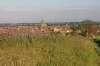 ©Tourisme Eguisheim Rouffach