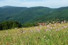 Le sentier des sols, Pays de Rouffach, Vignobles et Châteaux, Haut-Rhin, Alsace