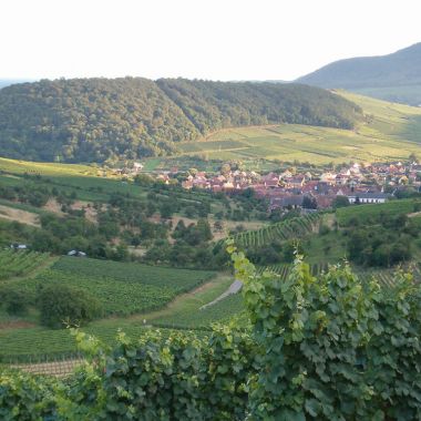 Le circuit des croix de chemin, Pays de Rouffach, Vignobles et Châteaux, Haut-Rhin, Alsace