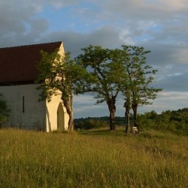 Vignoble et collines sèches, Pays de Rouffach, Vignobles et Châteaux, Haut-Rhin, Alsace