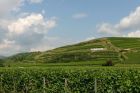 © Domaine Muré - Clos Saint-Landelin, Rouffach, Pays de Rouffach, Vignobles et Châteaux, Haut-Rhin, Alsace