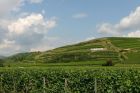 © Domaine MURÉ