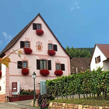 © Vins François Weck et Fils, Gueberschwihr, Pays de Rouffach, Vignobles et Châteaux, Haut-Rhin, Alsace