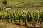 Ot Eguisheim ©Panoramaweb