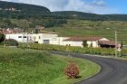 Domaine Gueth