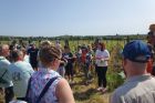 Domaine Gueth