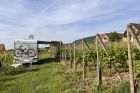 © Domaine François Weck