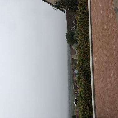 Domaine Schneider Xavier