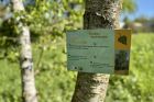 © Office de Tourisme Intercommunal du Mont Sainte-Odile / CD