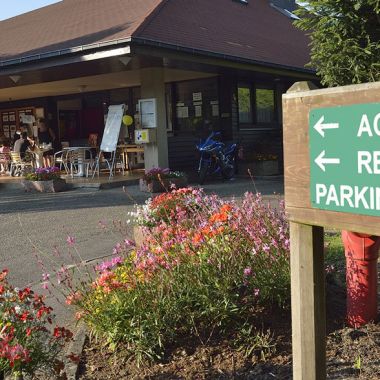 Camping La Forêt - Vacances Andrétrigano