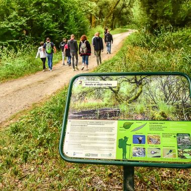 © Photo Club du Ried - JM Gless