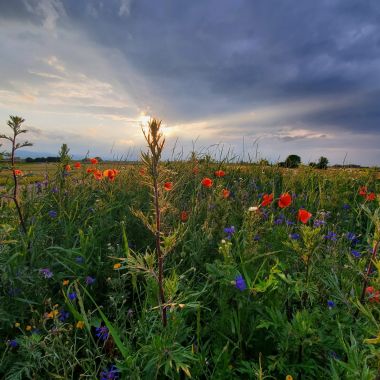 © Photo Club du Ried