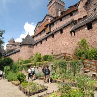 Jardin médiéval ©CD67