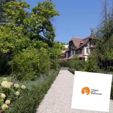 Fresque de la Biodiversité