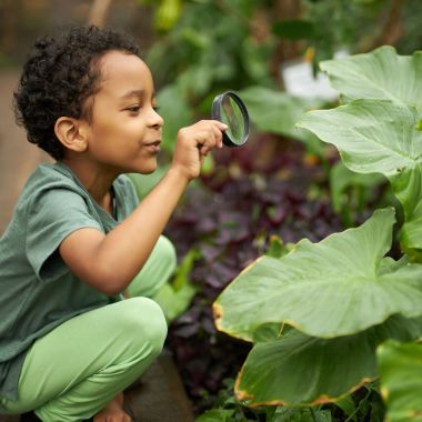 Atelier jeune public : Richesse des plantes