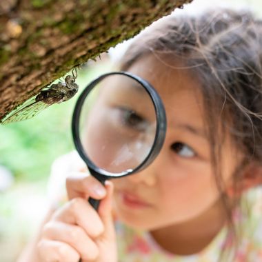 Atelier jeune public : Le monde des insectes