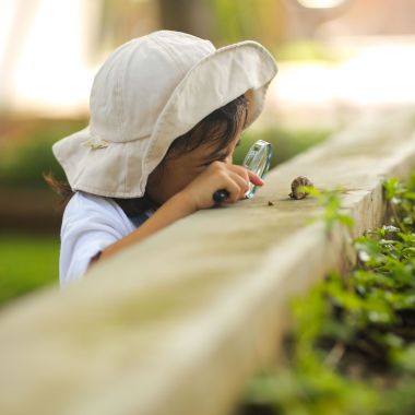 Atelier jeune public : Le monde des animaux