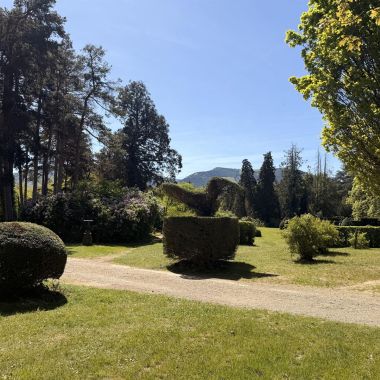 Visite libre du parc et des jardins