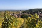 OT Vallée de Kaysersberg