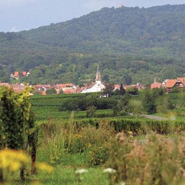 Hiking in the shadow of Mont Sainte-Odile