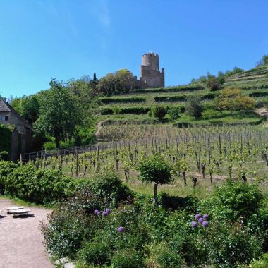 OT Vallée de Kaysersberg