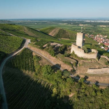 Office de tourisme Vallée de Kaysersberg - Julien Kauffmann