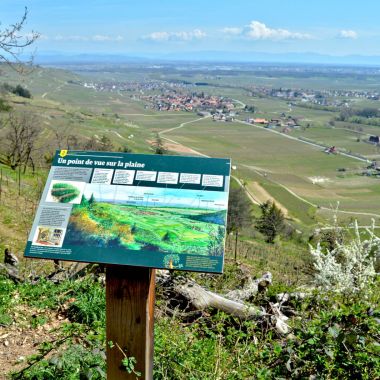 OT Vallée de Kaysersberg