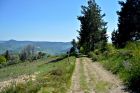 OT Vallée de Kaysersberg
