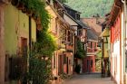 OT Vallée de Kaysersberg
