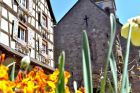 Office de tourisme Vallée de Kaysersberg