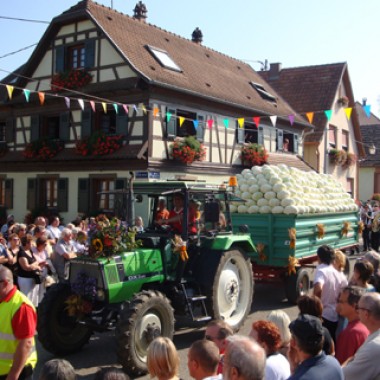 48th Sauerkraut Festival-Sürkrütfecht