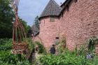 Château du Haut-Koenigsbourg