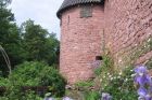 Château du Haut-Koenigsbourg