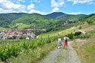 OT Vallée de Kaysersberg