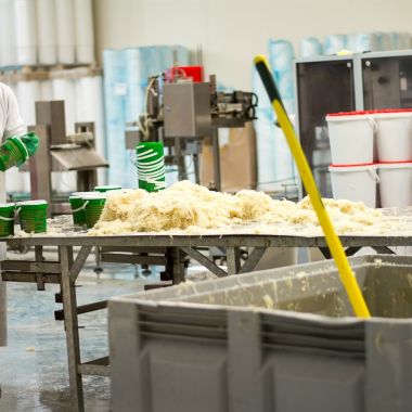 Visiting a sauerkraut factory